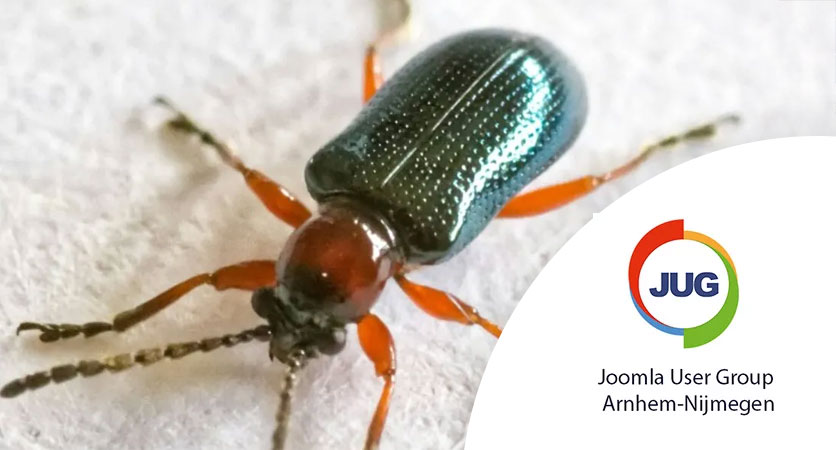 Een tor (bug) die over de muur loopt